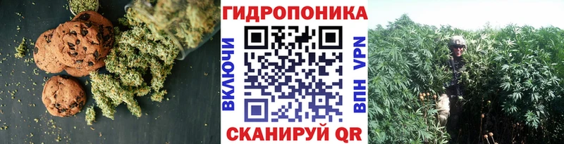 Canna-Cookies конопля  ОМГ ОМГ зеркало  Алзамай 