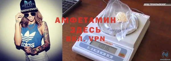 метадон Алексин
