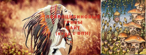 ешки Алзамай