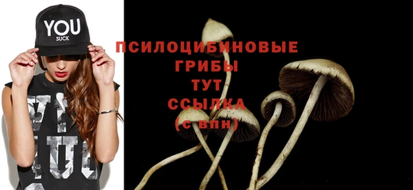хмурый Алексеевка