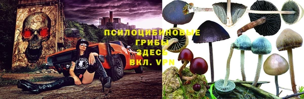 ешки Алзамай