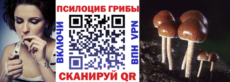 Галлюциногенные грибы Cubensis  мега ONION  Алзамай  где продают  